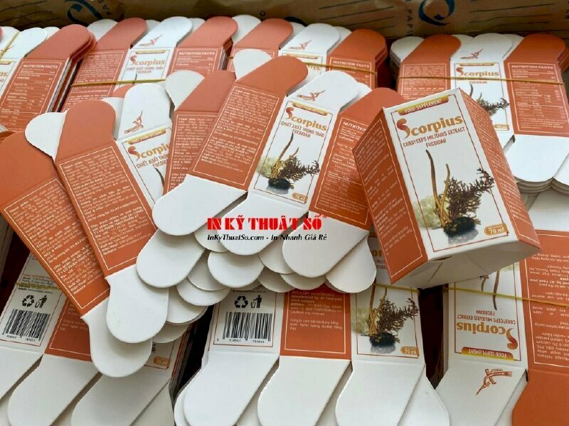 In phướn treo Tiểu sử Chủ tịch Hồ Chí Minh, in tranh ảnh vải Silk dầu bóng, nẹp gỗ trên dưới treo tường - INKTS1770