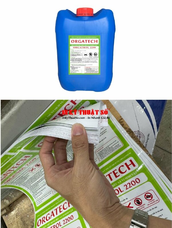 In tờ rời giới thiệu thông tin sản phẩm khổ A4, tờ rời số lượng ít in kỹ thuật số - INKTS1609