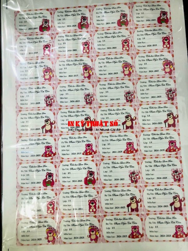 In Poster chất liệu PP sắc nét lắp sẵn khung giá treo banner cuốn nhôm tốt 80cm, in poster định cư Canada - INKTS1805