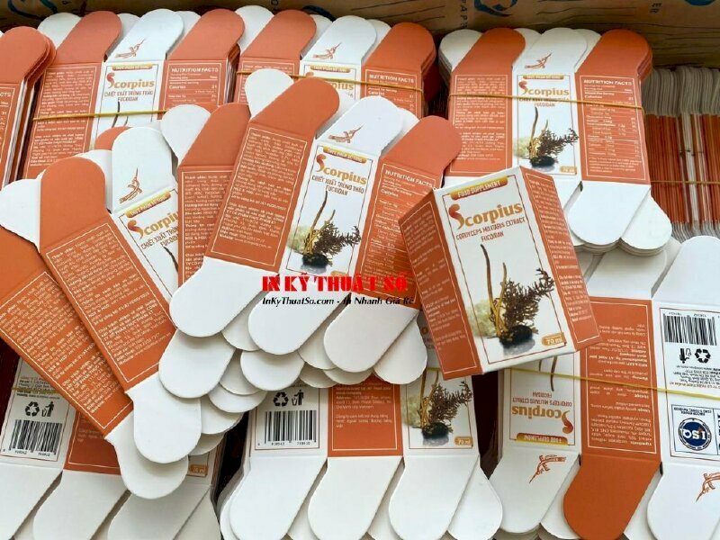 In phướn treo Tiểu sử Chủ tịch Hồ Chí Minh, in tranh ảnh vải Silk dầu bóng, nẹp gỗ trên dưới treo tường - INKTS1770