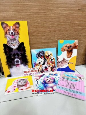 Tranh in Formex trang trí cửa hàng Pet Shop, in Formex tranh chủ đề thú cưng, bé mèo, bé cún dễ thương - INKTS1628