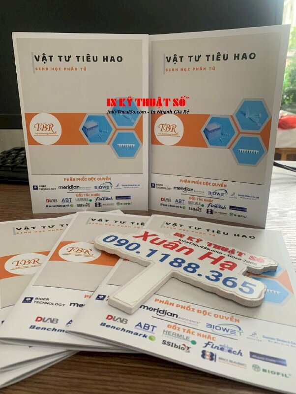 In phiếu rút thăm trúng thưởng theo mã số thứ tự, in giấy C300gsm 1 mặt, đánh số thứ tự - INKTS1639