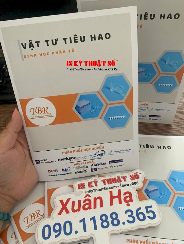 In phiếu rút thăm trúng thưởng theo mã số thứ tự, in giấy C300gsm 1 mặt, đánh số thứ tự - INKTS1639